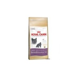 Royal Canin British Shorthair Cat 10 kg
