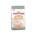Royal Canin Mini Starter 8 kg